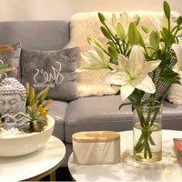 Cho Thuê Căn Hộ Chung Cư Vinhomes Symphony, Long Biên. 36M. Giá: 10 Triệu/Tháng. Liên Hệ: 096.787.3362