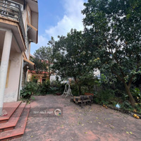 Bán Nhà Vườn, Tặng Kèm 80M2 Đất Vườn Ô Tô Đỗ Sân Tại Hòa Bình, Phường Yên Nghĩa, Quận Hà Đông