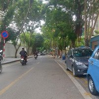 Bán Đất Mặt Phố Dịch Vọng Hậu Lô Cuối Cùng Kinh Doanh Tốt 148M2,Mặt Tiền8.5M Xây Gì Cũng Hái Ra Tiền