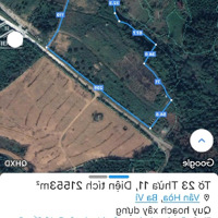 Bán Đất Tại Đường 87A, Vân Hòa, Ba Vì, Hà Nội, 35 Tỷ, 18500 M2