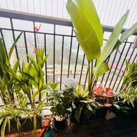 Bán Căn Hộ 3 Phòng Ngủ 2 Vệ Sinh 101M2 Tại Berriver Jardin Long Biên, 6,5 Tỷ - Toà N02 Liên Hệ: 0588090555