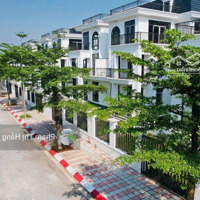Bán Biệt Thự Song Lập Bt2, Bt3,Bt6,Bt7, ..Tại Hud Mê Linh Central
