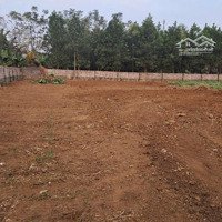 Đất Thổ Cư Tại Thôn 1, Ba Trại, Ba Vì, Hn.diện Tích380M2 (150M2 Ont), Chỉ 900 Triệu (Bao Sổ, Bao Ranh Giới)