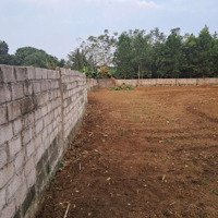 Đất Thổ Cư Tại Thôn 1, Ba Trại, Ba Vì, Hn.diện Tích380M2 (150M2 Ont), Chỉ 900 Triệu (Bao Sổ, Bao Ranh Giới)