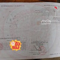 Đất Thổ Cư Tại Thôn 1, Ba Trại, Ba Vì, Hn.diện Tích380M2 (150M2 Ont), Chỉ 900 Triệu (Bao Sổ, Bao Ranh Giới)