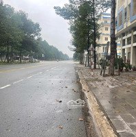 Bán Nhà Mặt Tiền Bùi Thị Xuân - Tp Mới Bình Dương, Đường 29M, Đã Có Sổ Hồng, Đối Diện Công Viên .
