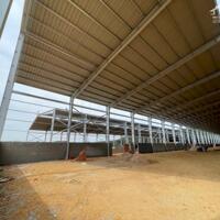 CHO THUÊ XƯỞNG VĨNH TÂN TÂN UYÊN BÌNH DƯƠNG (LK02)
