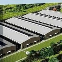 CHO THUÊ XƯỞNG VĨNH TÂN TÂN UYÊN BÌNH DƯƠNG (LK02)