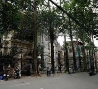 ( Hiếm ) Bán Nhà Mặt Phố Lò Đúc, 60M2,Mặt Tiền8,6M, 7 Tầng Thang Máy , Nhỉnh 20 Tỷ.