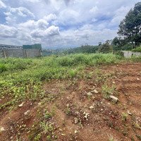 Cho Thuê Kho, Nhà Xưởng 1100M2, Đường Nguyễn Trãi, 6 Triệu Vnd, View Đẹp