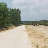 Cần Bán Đất nền tại Đường Phước Bình, Xã Phước Bình, Long Thành, Đồng Nai với diện tích rộng 1357 m², giá chỉ 3 tỷ VND