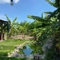Cần Bán Gấp Nhà Vườn Ven Hồ Trị An - Diện Tích Rộng Hơn 1000M2, Shr, Giá Chỉ 790 Triệu!