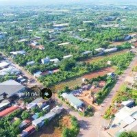 Đầu Tư Siêu Lợi Nhuận Vườn Cây Ăn Trái Gia Kiệm, Thống Nhất, Giá Bán 750 Triệuiệu/Sào, Bank Hỗ Trợ Hơn 50%