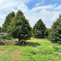 Bán Gấp Mảnh Vườn Tâm Huyết Chủ Đi Nước Ngoài, Giá Chỉ 750 Triệu, Sổ Sẵn, Pháp Lý Minh Bạch