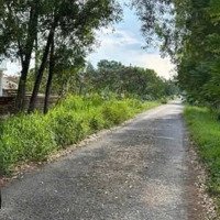 Cần Bán Gấp Đất Thổ Cư Ở Tân Thạnh Đông Gần Tỉnh Lộ 15