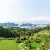 Biệt Thự View Vịnh Đẳng Cấp Dành Cho Chuyên Gia Nước Ngoài