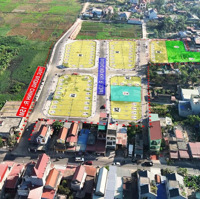 Bảng Hàng Khu Đấu Giá Bái Trong- Hoa Động Giá Mềm Nhất Thị Trường!