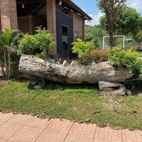 Farm Siêu Vip Đầy Đủ Ăn Ăn Trái , Vật Nuôi, Ao Cá, 3,300M, Không Khí Siêu Trong Lành Chỉ 3,5 Tỷ