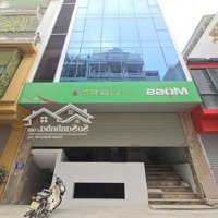 Tòa Nhà Văn Phòng 8 Tầng Thang Máy 85/95M2 7 Tầng Nổi 1 Tầng Bán Hầm - Mặt Tiền Quyền Lực 8.5M.