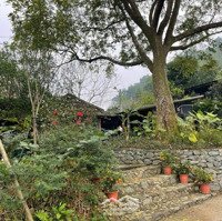 E Có Siêu Phẩm Nằm Trong Khu Nghỉ Dưỡng Thung Lũng Ngọc Linh Giá Chỉ Trên 1X,X Tỷ