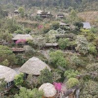 E Có Siêu Phẩm Nằm Trong Khu Nghỉ Dưỡng Thung Lũng Ngọc Linh Giá Chỉ Trên 1X,X Tỷ