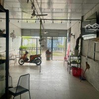 Bán Rẻ Đất Tặng Nhà Cấp 4 Kdc Tứ Hải, Tân Đông Hiệp, Dĩ An, Bình Dương