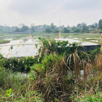 Đất Rẻ Nhất Xã Nhuận Trạch Lương Sơn Hb
