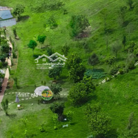 Chính Chủ, Tặng 16 Tỷ Đất Vip Ven Suối 13322M2 (Shr) - Ngay Cao Tốc Bảo Lộc - Homestay, Nghỉ Dưỡng