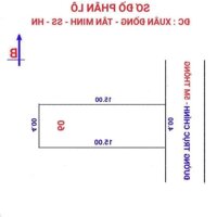 Chính chủ bán 60m full thổ cư Xuân Đồng, Tân Minh đường ô tô thông giá nhỉnh tỷ chút xíu