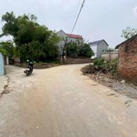 Chính chủ bán 60m full thổ cư Xuân Đồng, Tân Minh đường ô tô thông giá nhỉnh tỷ chút xíu