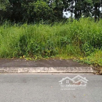 Chính Chủ Cần Bán Gấp Đất 120M2 Shr Gần Bv Nguyễn Đình Chiểu Bến Tre.mt Nguyễn Văn Tư,P7. Giá 500 Triệu
