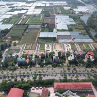 Bán Đất Thị Trấn Phùng, Đan Phượng, Hà Nội,