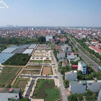 Bán Đất Thị Trấn Phùng, Đan Phượng, Hà Nội,