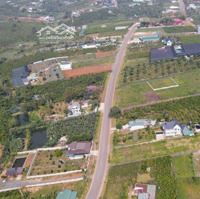 Chính Chủ Gửi Bán Căn Nhà Mặt Tiền Phan Đình Phùng, Phường Lộc Tiến, Bảo Lộc, 1900M2