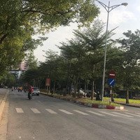 Bán Biệt Thự Đơn Lập Khu Đô Thị Việt Hưng