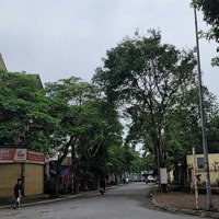 Bán Biệt Thự Đơn Lập Khu Đô Thị Việt Hưng