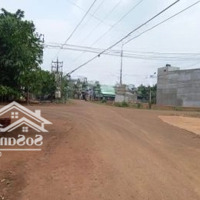 Bán Đất Ngay Tp Đồng Xoài 1000M2 Có Sẵn Thổ Cư Giá Chỉ 350 Triệu
