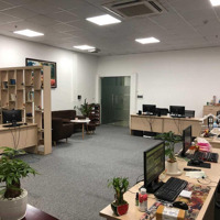 Bán Gấp Tòa Văn Phòng Mặt Phố, Trần Thái Tông, 9 Tầng, Thang Máy, Kinh Doanh, Giá Rẻ, 0903784368