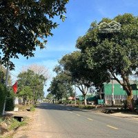 Siêu Phẩm 1000M2 Mặt Tiền Quốc Lộ 27, Ngay Trung Tâm Xã Liên Hiệp. Giá Chỉ 4 Tỷ 250 Siêu Ngợp