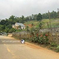 Bán Trục Chính Giáp Trường Sping Hill Đông Xuân Quốc Oai Đất Dân 1000M2 Giá X Tr/M2 Hàng F0.