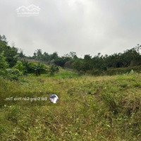 Bán Trục Chính Giáp Trường Sping Hill Đông Xuân Quốc Oai Đất Dân 1000M2 Giá X Tr/M2 Hàng F0.