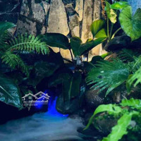 Villa Mini Ngay Giữa Lòng Thành Phố, Trung Tâm Hải Châu, Đà Nẵng