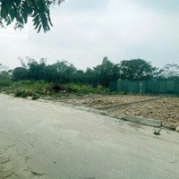 Hàng Cực Hiếm Đất Nền Trung Tâm Thành Phố Vĩnh Yên Giá Hơn 9Xxtr