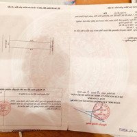 Bán Đất Tại Trần Quốc Vượng, 4,5 Tỷ, 156M2 View Đẹp Trục Thông Phú Mỹ An