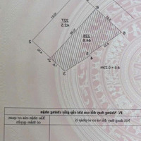 Bán Gấp Đất Ô Tô Đi Lại Ngõ 8 Từ Hoa, View Mặt Hồ Tây, Sổ Vuông Vắn, Giá 14, X Tỷ