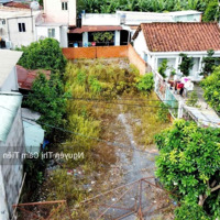 Mặt Bằng Kinh Doanh Đường Nhựa 12M Nguyễn Thị Ni Xã Phước Hiệp 153M2 Giá Bán 735 Triệu Shr Dân Cư Sầm Uất