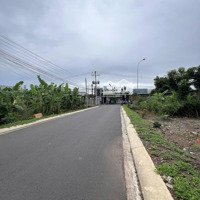 900M2 Đất Bình Dương, Mặt Tiền Đường Bê Tông, Bán Trả Nợ Gấp