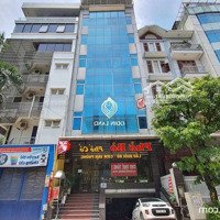 Cho Thuê Siêu Phẩm Phố Văn Phòng Tại Thọ Pháp Cực Đông Giới Trẻ Phù Hợp Cho Spa, Showrom