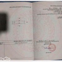 Bán Đất Đấu Giá Cẩm Xá Mỹ Hào Hưng Yên