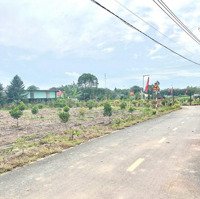 Bán Đất Ngay Trung Tâm Phú An, Tp Bến Cát, Diện Tích 1223M2, Giá Ngộp, Sổ Hồng Riêng